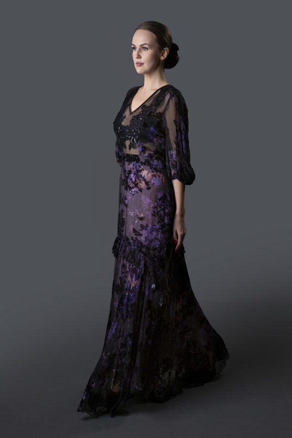 French Velvet Dress - Image 3