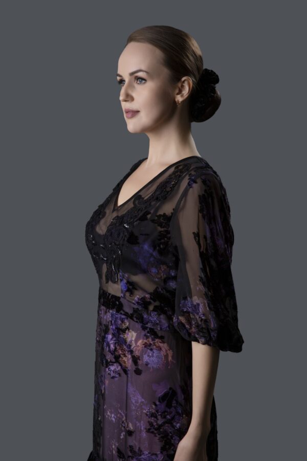 French Velvet Dress - Image 5