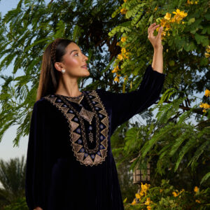 Velvet Dress with Zari Patchwork & Hand Embroidery Accents