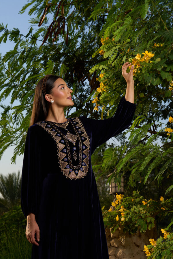 Velvet Dress with Zari Patchwork & Hand Embroidery Accents