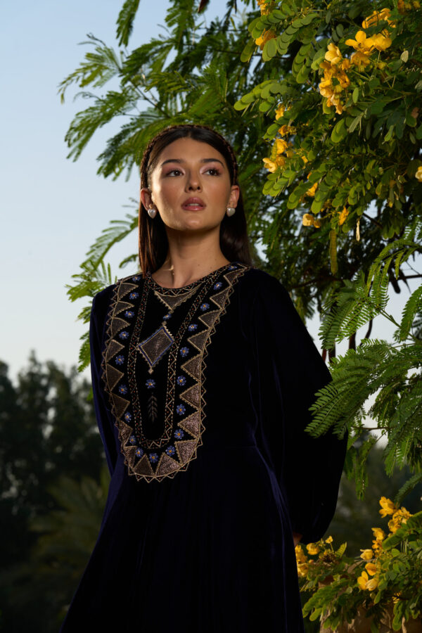 Velvet Dress with Zari Patchwork & Hand Embroidery Accents - Image 2