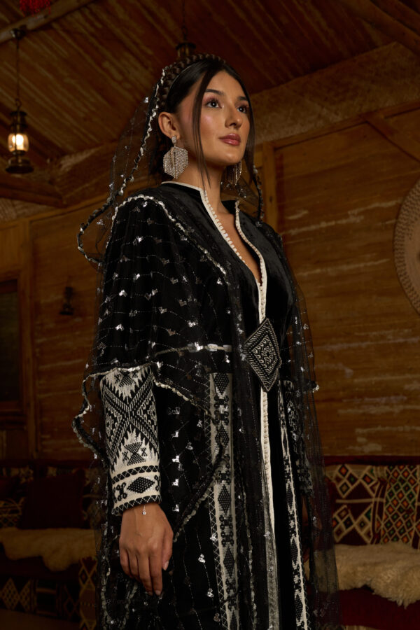 Moroccan Majesty – Velvet Ensemble with Silver Zari & Geometric Accents - Image 2
