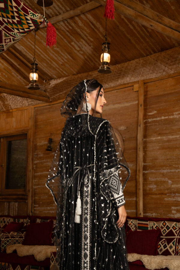 Moroccan Majesty – Velvet Ensemble with Silver Zari & Geometric Accents - Image 6